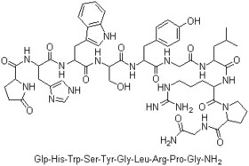 Gonadorelin-peptides