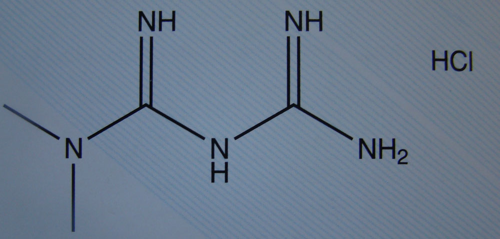 metformin HCL-other active pharmaceutical ingredients