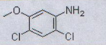  2,4-dichloro-5-methoxyaniline