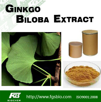 Ginkgo Biloba Extract