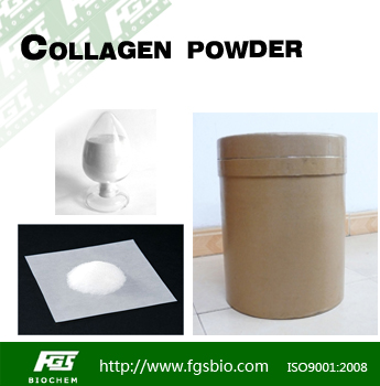 Collagen Powder