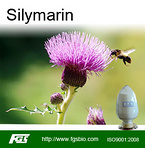 Silymarin