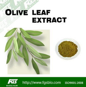 Olive leaf extract