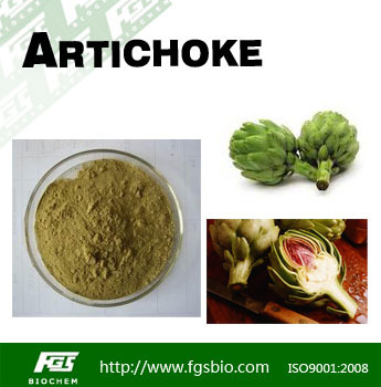 Artichoke extract