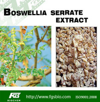 Boswellia Serrate Extract