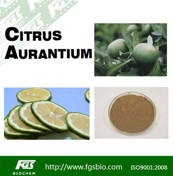 Citrus Aurantium Extract