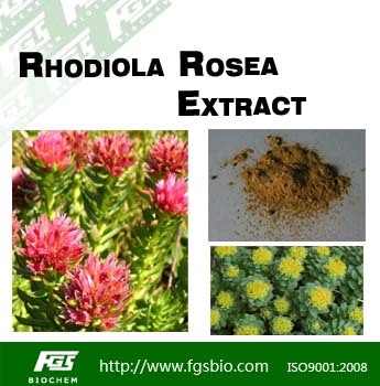 Rhodiola Rosea Extract