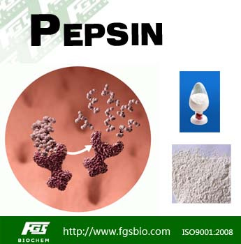 Pepsin  