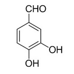 Protocatechualdehyde