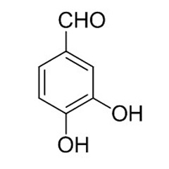 Protocatechualdehyde