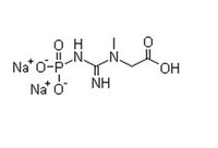 Creatine Phosphate Disodium