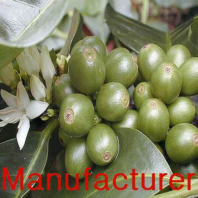 green coffee bean extract