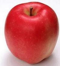 apple fruit extract  polyphenols/phlorizin