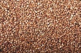 Buckwheat Extract