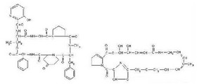 Virginiamycin