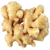 Ginger Extract	Gingerol