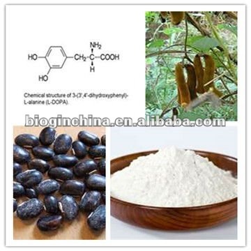 Mucuna Pruriens Extract