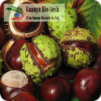 10%- 98% Nature Horse Chestnut Extract
