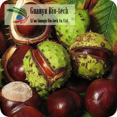 10%- 98% Nature Horse Chestnut Extract