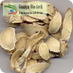 Astragalus Root Extract