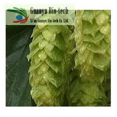 European Hop Spike Extract