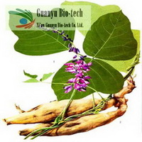 Kudzu Root Extract