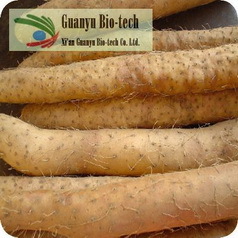 Common Yam Rhizome P.E.