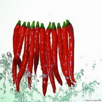 Capsaicin