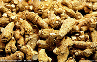 American Ginseng Extract 