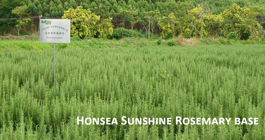 广州合诚三先生物科技有限公司