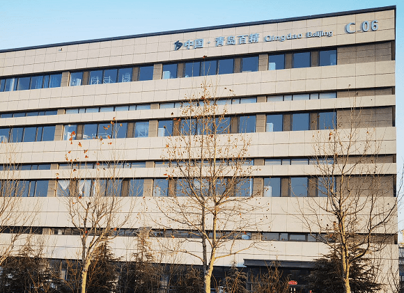 青岛百精金检技术有限公司