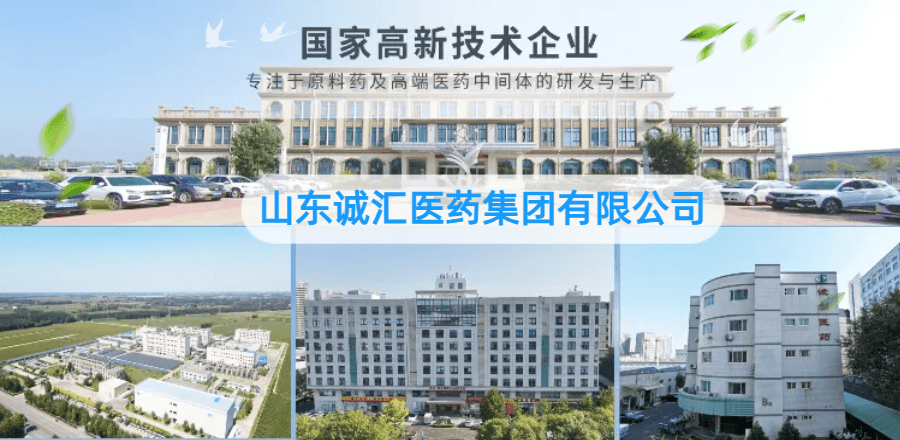 山东诚汇医药集团有限公司