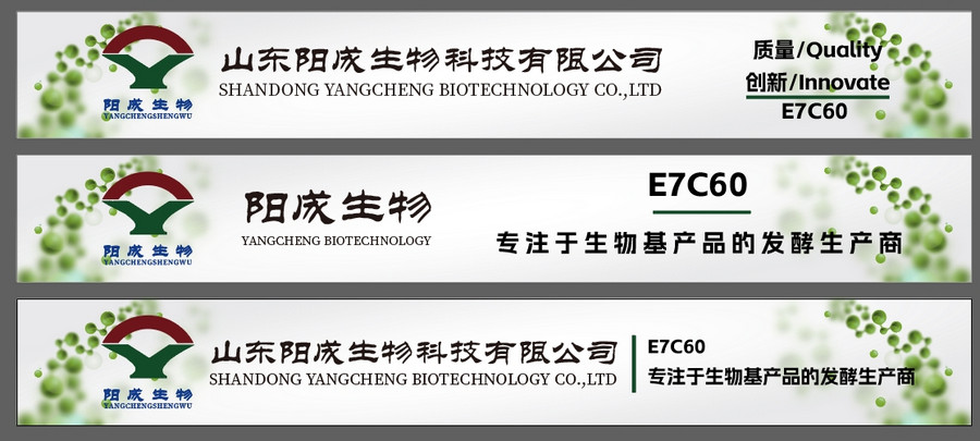 山东阳成生物科技有限公司