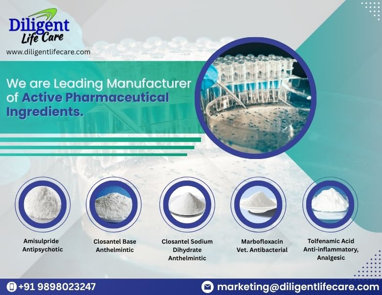 DILIGENT LIFE CARE