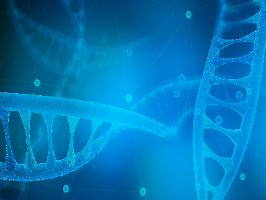 Push-to-Talk over Cellular Market register a CAGR of over 11% during the forecast period (2021-2031)