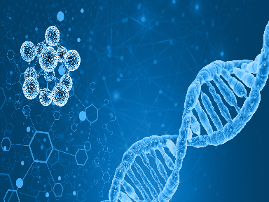 One shot of the Sputnik V vaccine triggers strong antibody responses