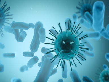 Antibodies to SARS-CoV-2 remain stable, or even increase, seven months after infection