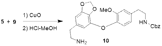 Figure 4 Synthesis of Intermediate 10