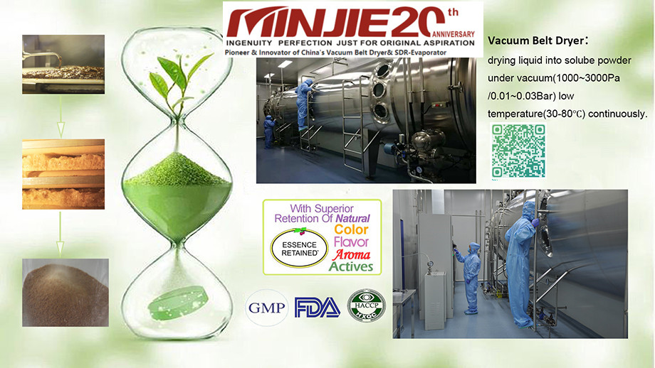 Organic Ingredients Natural Plant Extract Vacuum Dryer and Ginseng Extract Drying Machine