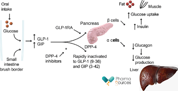 GLP-1, GIP, glucagon, DPP-4, and insulin play important roles in energy metabolism and diabetes, which is characterized by low levels of insulin