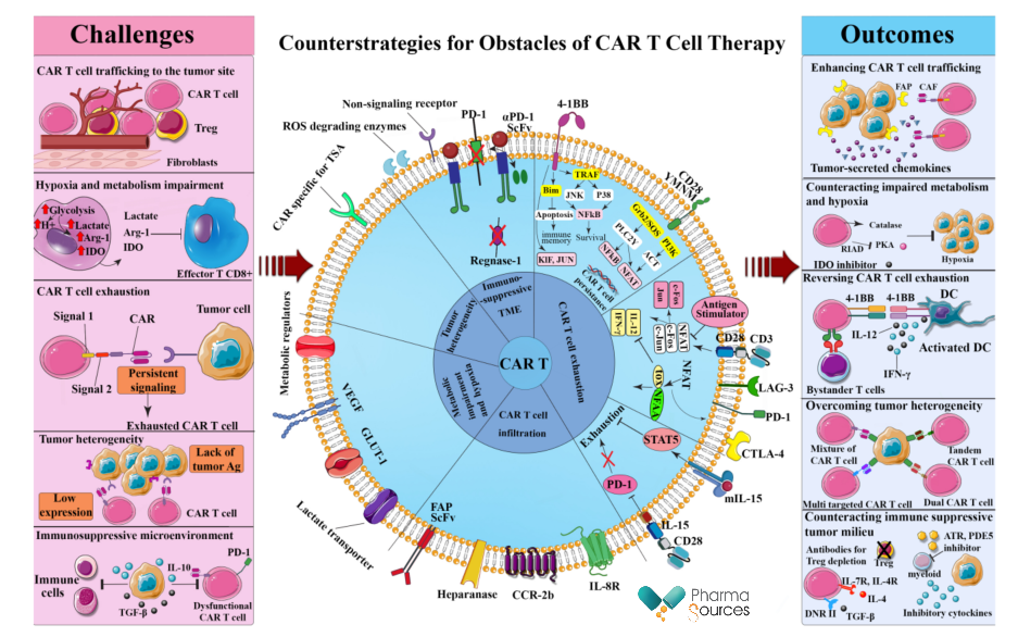 Figure: Challenges of CAR-T therapy development in cells (from Reference 1) 