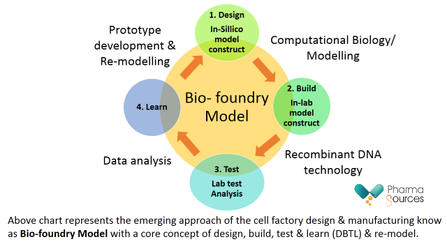 Bio-foundary Model