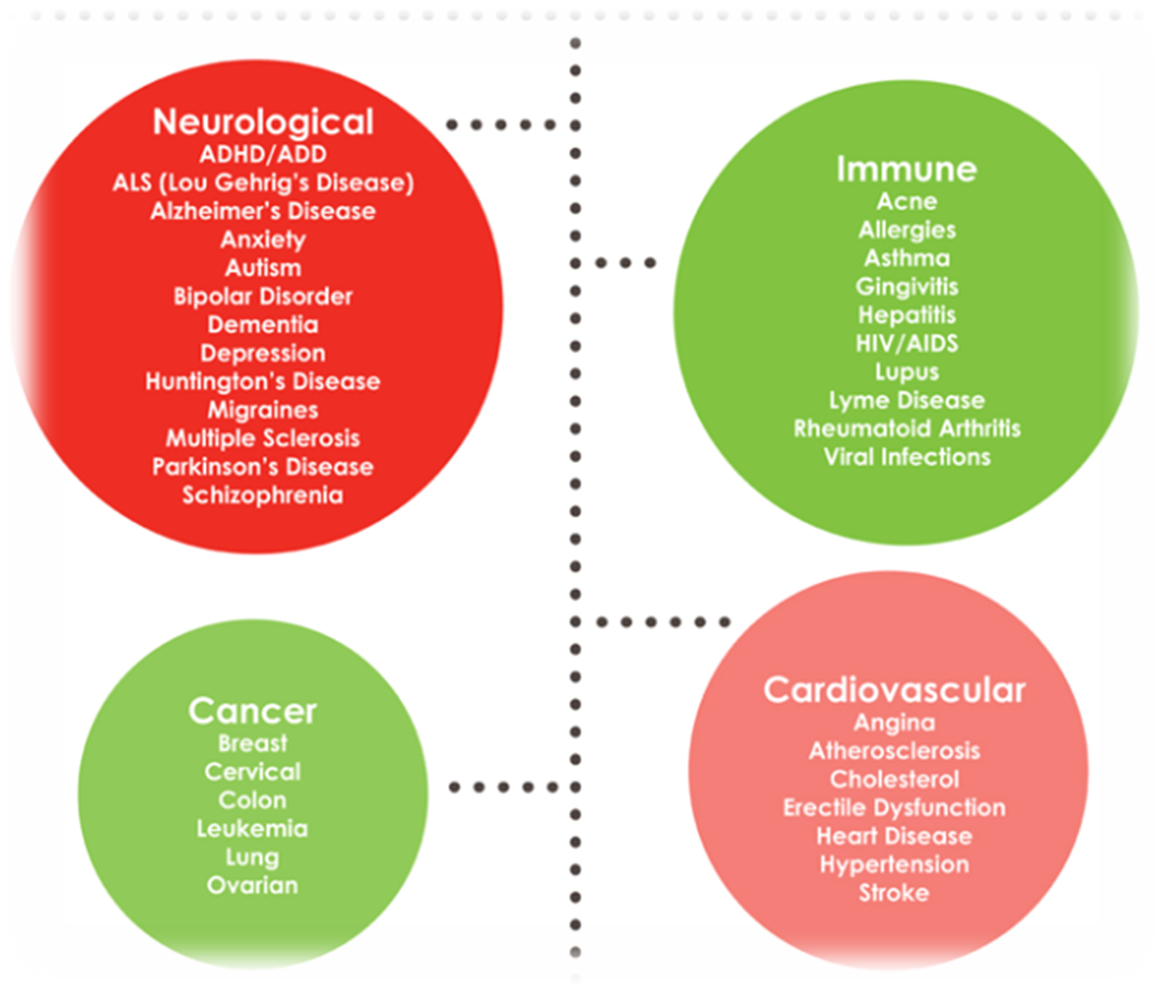 S-Acetyl-Glutathione Benefits