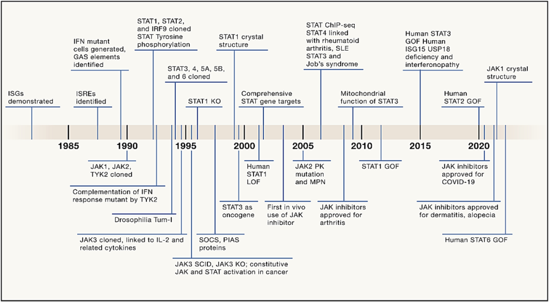 Figure 2: The Development History of the JAK-STAT Pathway (Reference 3) 