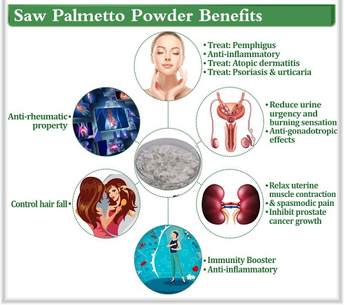 saw palmetto fruit extract benefits