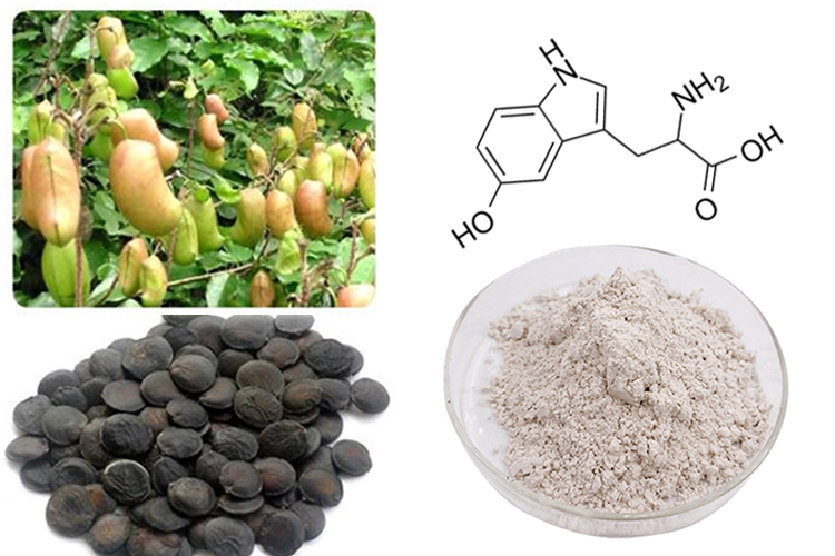 griffonia simplicifolia seed extract benefits