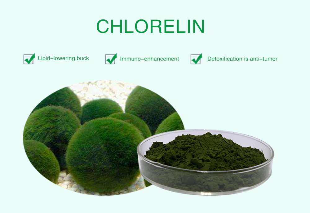 chlorella cracked cell wall powder