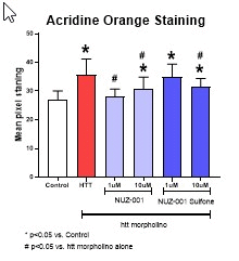 Reduction in neuronal cell death
