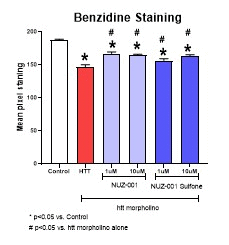 Partial rescue of haemoglobin levels