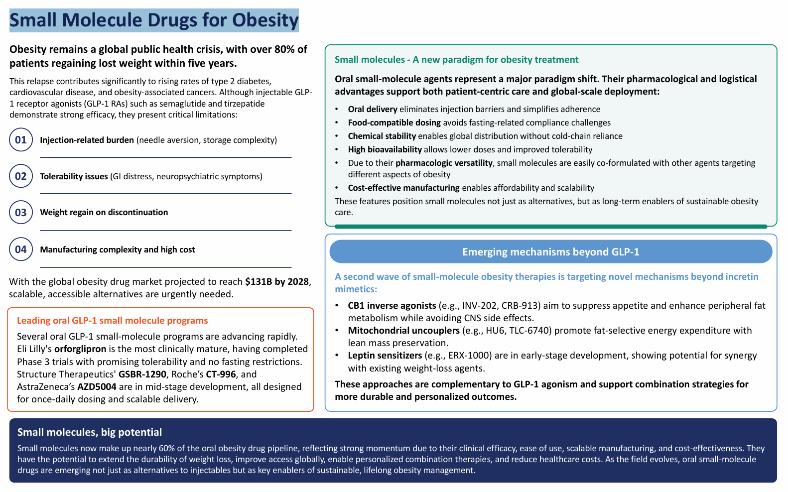 Small Molecule Drugs for Obesity